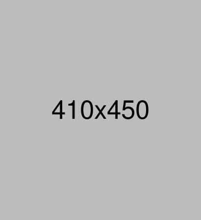 The Online Portfolio